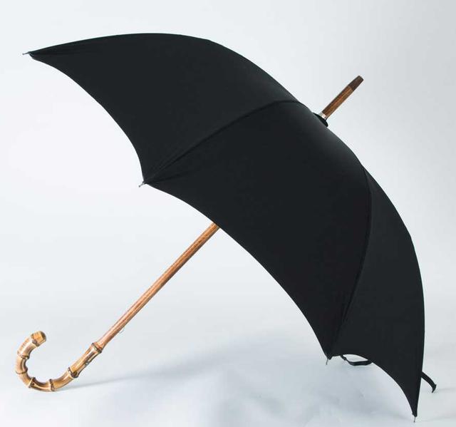10 Most Expensive Umbrellas In The World !!